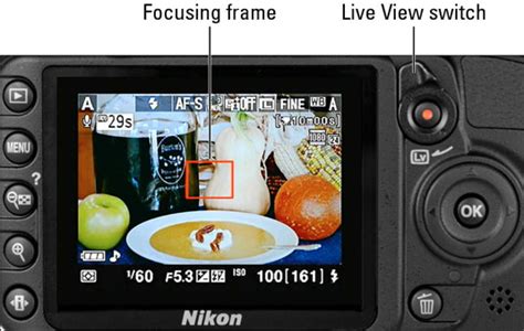 Shooting Still Photos in the Nikon D3100’s Live View Mode